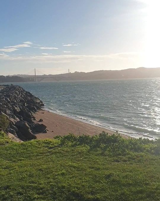 Un beau soleil sur Brest aujourd’hui mais du vent …