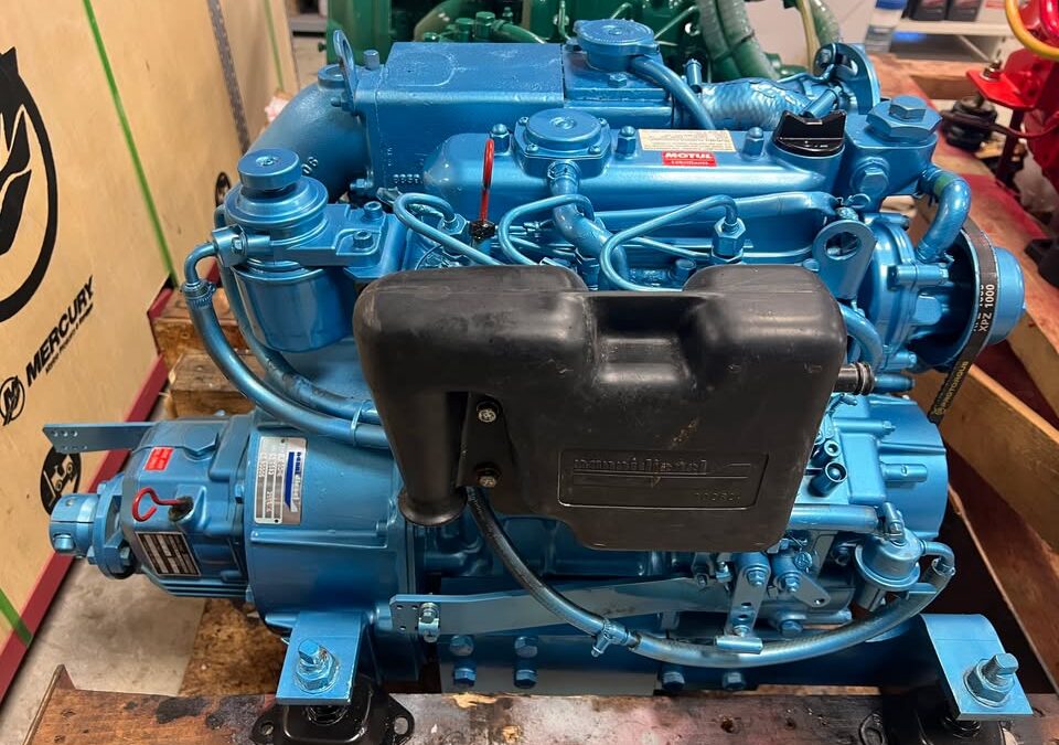 A VENDRE moteur occasion NANNI 3…