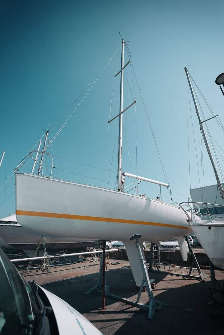 Souvent pour samuser les hommes dequipage Prennent des albatros 1 1424627239666177 - Brest Finistère Souvent pour samuser les hommes dequipage Prennent des albatros 1 1424627239666177 - Brest Finistère