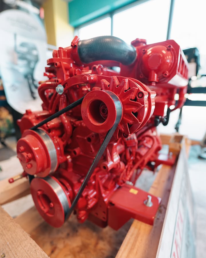 En plein milieu du magasin il attire toujours les regards 1 1453669700095264 - Brest Finistère En plein milieu du magasin il attire toujours les regards 1 1453669700095264 - Brest Finistère