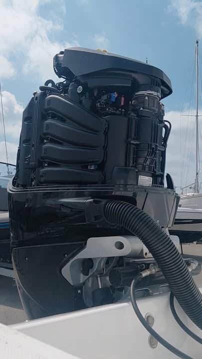 Vous lavez vu 1 1597259409069625 - Brest Finistère Vous lavez vu 1 1597259409069625 - Brest Finistère